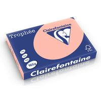 Carta Colorata Clairefontaine Salmon A3 160 g/m² (250 fogli)