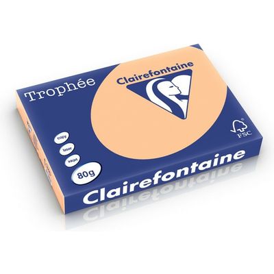 Carta Colorata Clairefontaine Albicocca A3 80 g/m² (500 fogli)