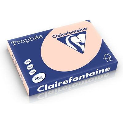 Carta Colorata Clairefontaine Salmon A3 80 g/m² (500 fogli)