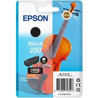 Cartuccia stampante Epson 250 (C13T16N14010) - Nero