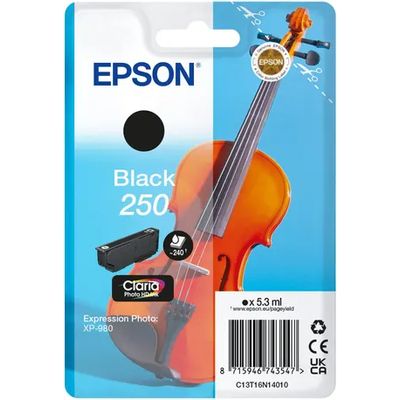 Cartuccia stampante Epson 250 (C13T16N14010) - Nero