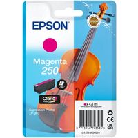 Cartuccia stampante Epson 250 (C13T16N34010) - Magenta