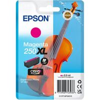 Cartuccia stampante Epson 250XL (C13T16P34010) - Magenta Alta capacità